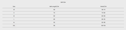 LUXIAOJUN AT100 Weightlifting Belt Grey